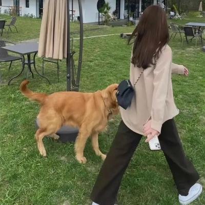 我杀了妻子